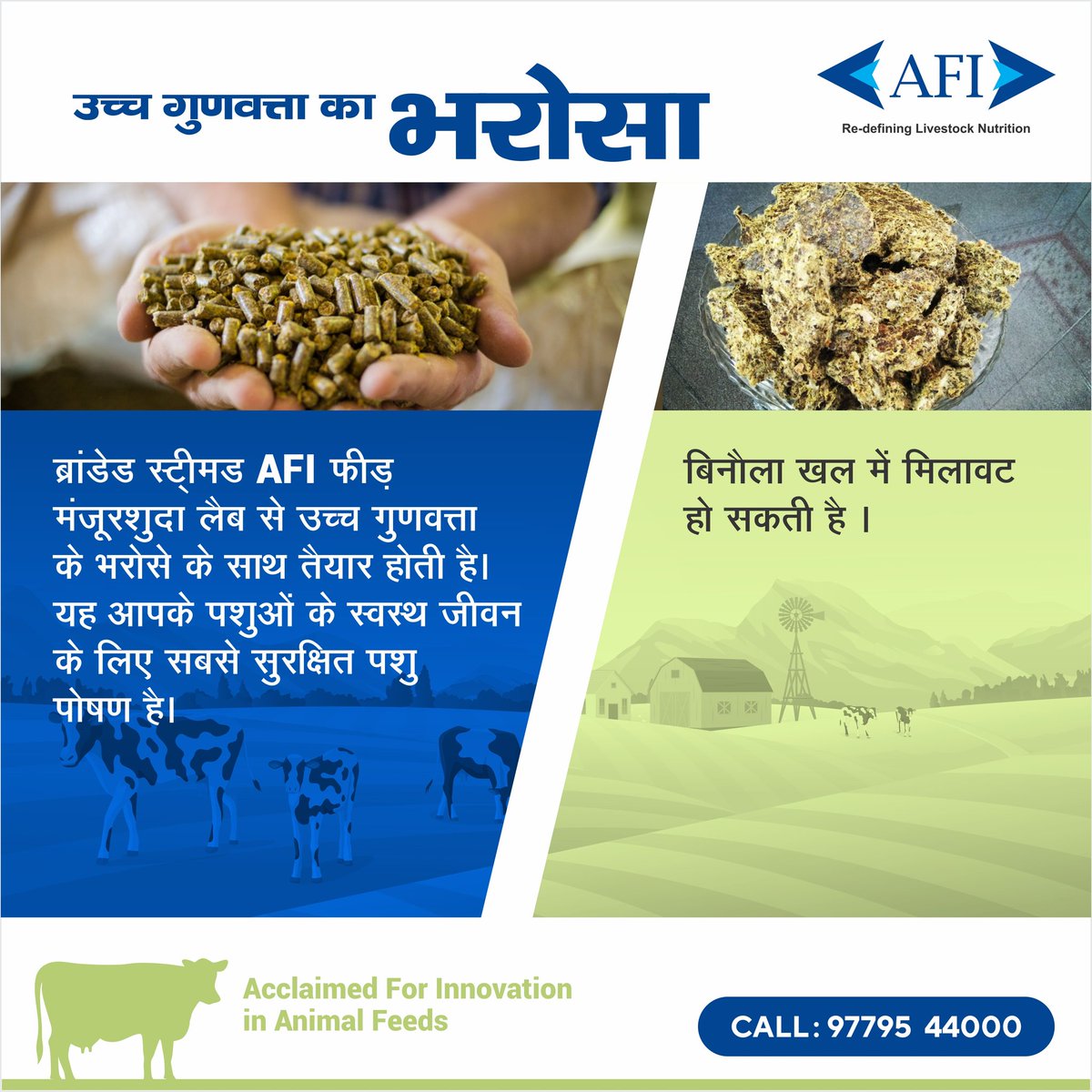 AFI Feed is made with raw material that is tested for quality assurance with authenticated lab whereas there is no quality assurance of raw material in cotton cake.
For more information, call - 09779544000

#Dairy #Feed #CattleFeed #AnimalFeed #AnimalNutrition #Farming