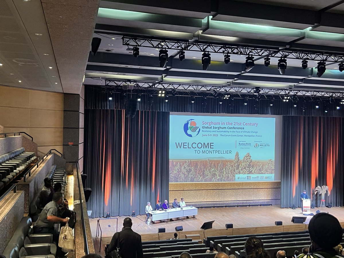 Geetika (@geetika_95) on Twitter photo It is a privilege to be able to attend the Global Sorghum Conference <a href="/21CentSorgh2023/">21centurysorghum 2023 Montpellier</a> in Montpellier, France. #sorghum21 It is a privilege to be able to attend the Global Sorghum Conference <a href="/21CentSorgh2023/">21centurysorghum 2023 Montpellier</a> in Montpellier, France. #sorghum21