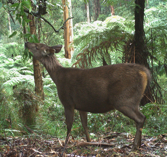 Joe Greet tweet media