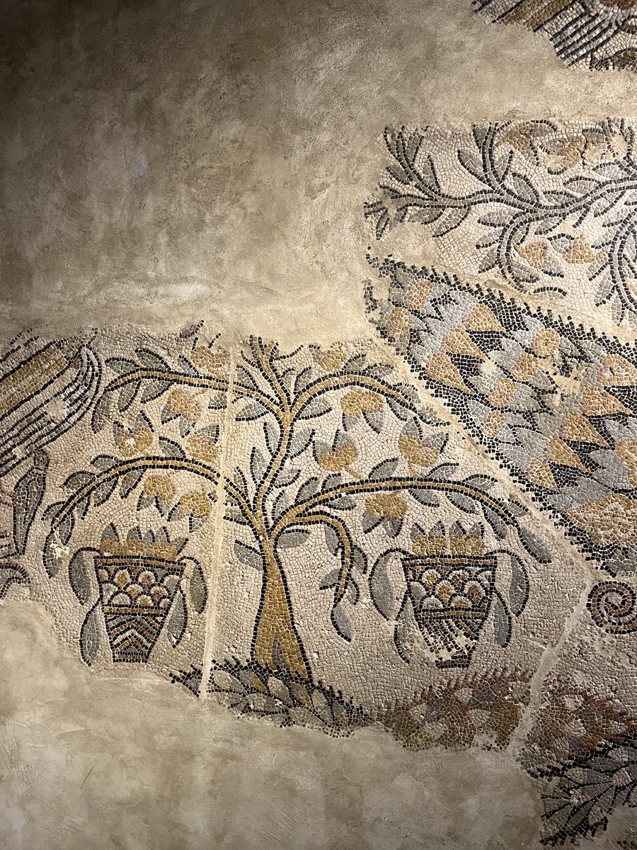 Dimitri Tilloid’Ambrosi on Twitter "Très belle mosaïque du VeVIe siècle dite du Jardin du