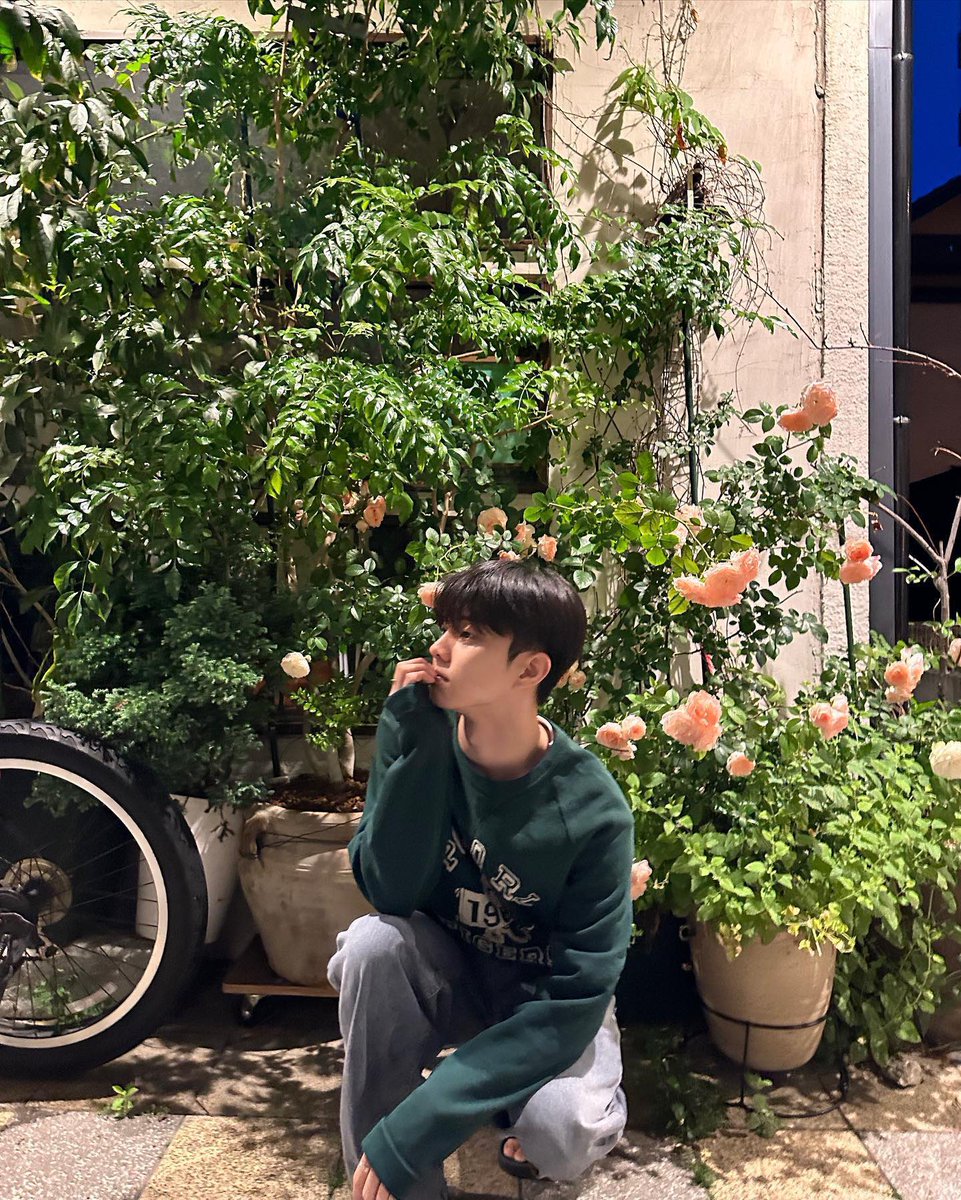 jichanming's tweet photo. The darkness of the night serves as the perfect backdrop for the most mesmerizing sight, the delicately blooming roses, exuding an aura of ethereal beauty and alluring fragrance as I stroll by. Each petal perfectly arranged like a work of art, captivating my senses. https://t.co/aSvsWvPBBV