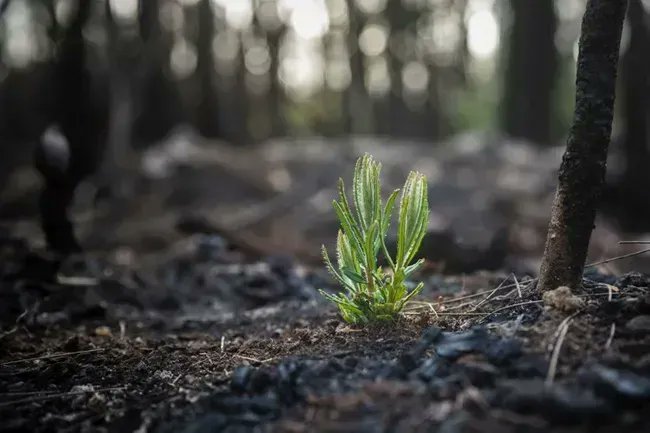 tweedFloKrause's tweet photo. "Man gibt mehr zurück als man nimmt. Das gilt für alle Systeme, seien es ökologische oder soziale."
https://t.co/vsDHxAc75W 
#regenerativeeconomy #ressourcen #resillienz https://t.co/4BKmm3wu8G