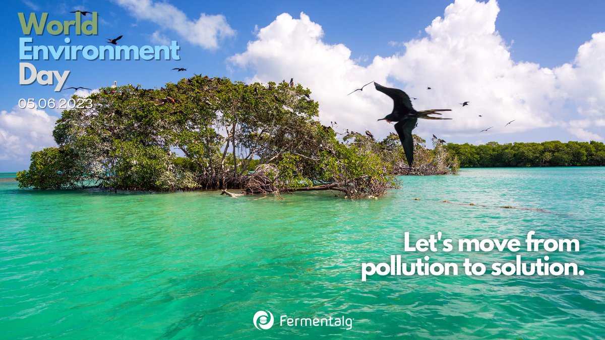 🗓 June 5th : World Environment Day 💡 DID YOU KNOW? More than 400 million tons of plastic is produced every year worldwide and less than 10% is recycled. #WorldEnvironmentDay #ForNature #FERMENTALG #sustainable #preservation #NatureRecovery #BeatPlasticPollution #ClimateChange