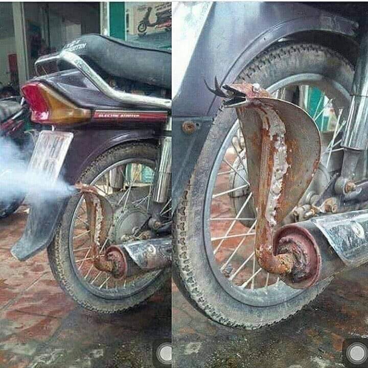 Loving the cobra exhaust
#motorcycle #motorbike #motorcyclelife