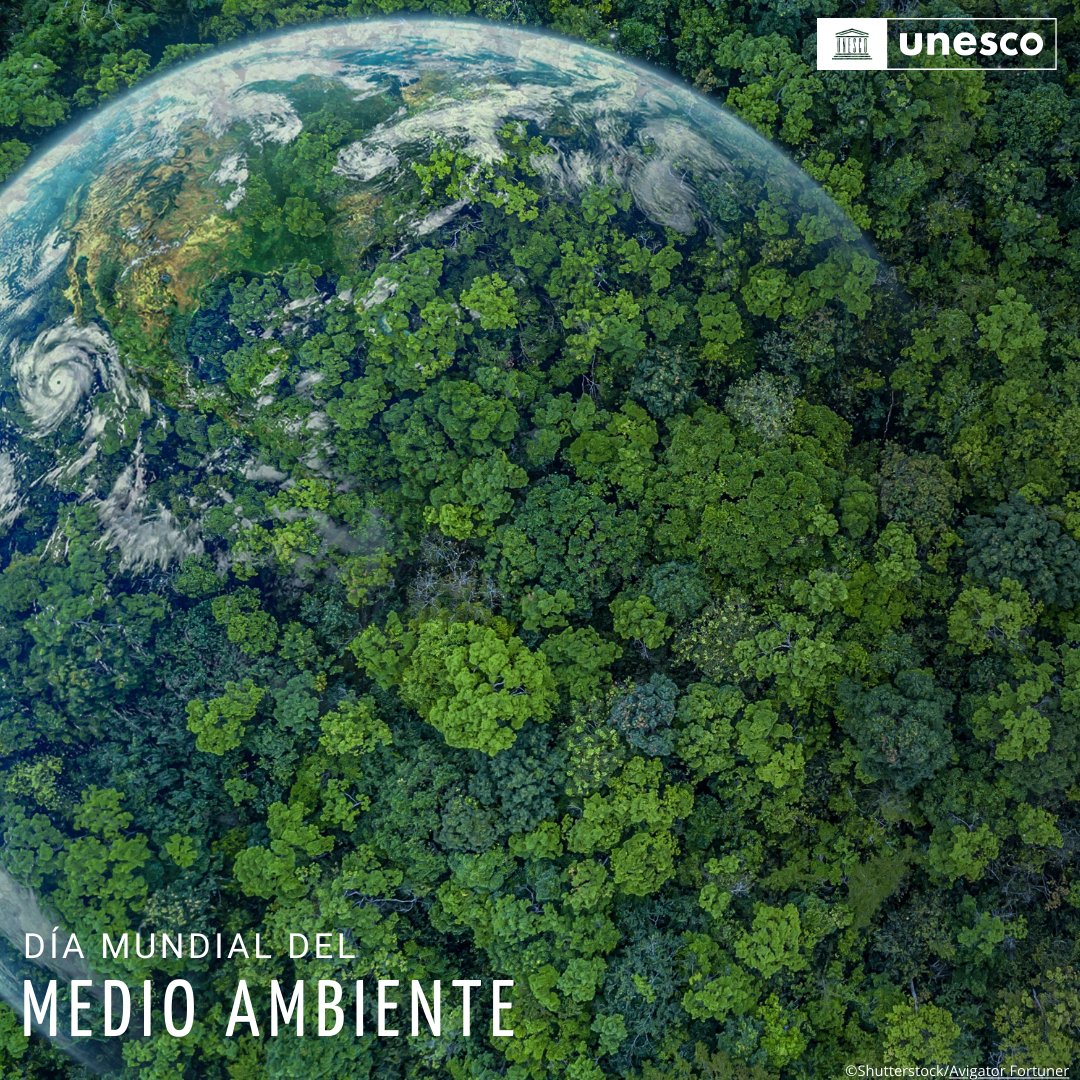 Hola,
Soy yo, la Tierra. Solíamos coexistir en armonía, pero ahora nuestra biodiversidad está gravemente amenazada.

¡Protejamos nuestros frágiles ecosistemas y preservemos la increíble biodiversidad diversidad de nuestro planeta!

Firmado, 🌍 #DíaMundialDelMedioAmbiente
