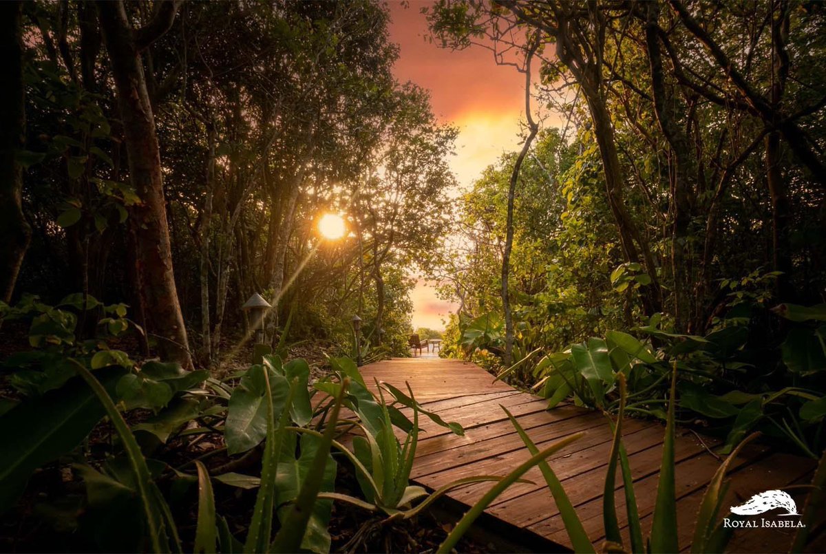 The Honeymoon Casita (# 20) is in an exclusive accommodation of Royal Isabela, making it the perfect escapade to rekindle romance or enjoy a couple's gateways. 
#royalisabela #romanticgetaway #naturelovers #honeymoon #puertorico #westcoast #discoverpuertorico