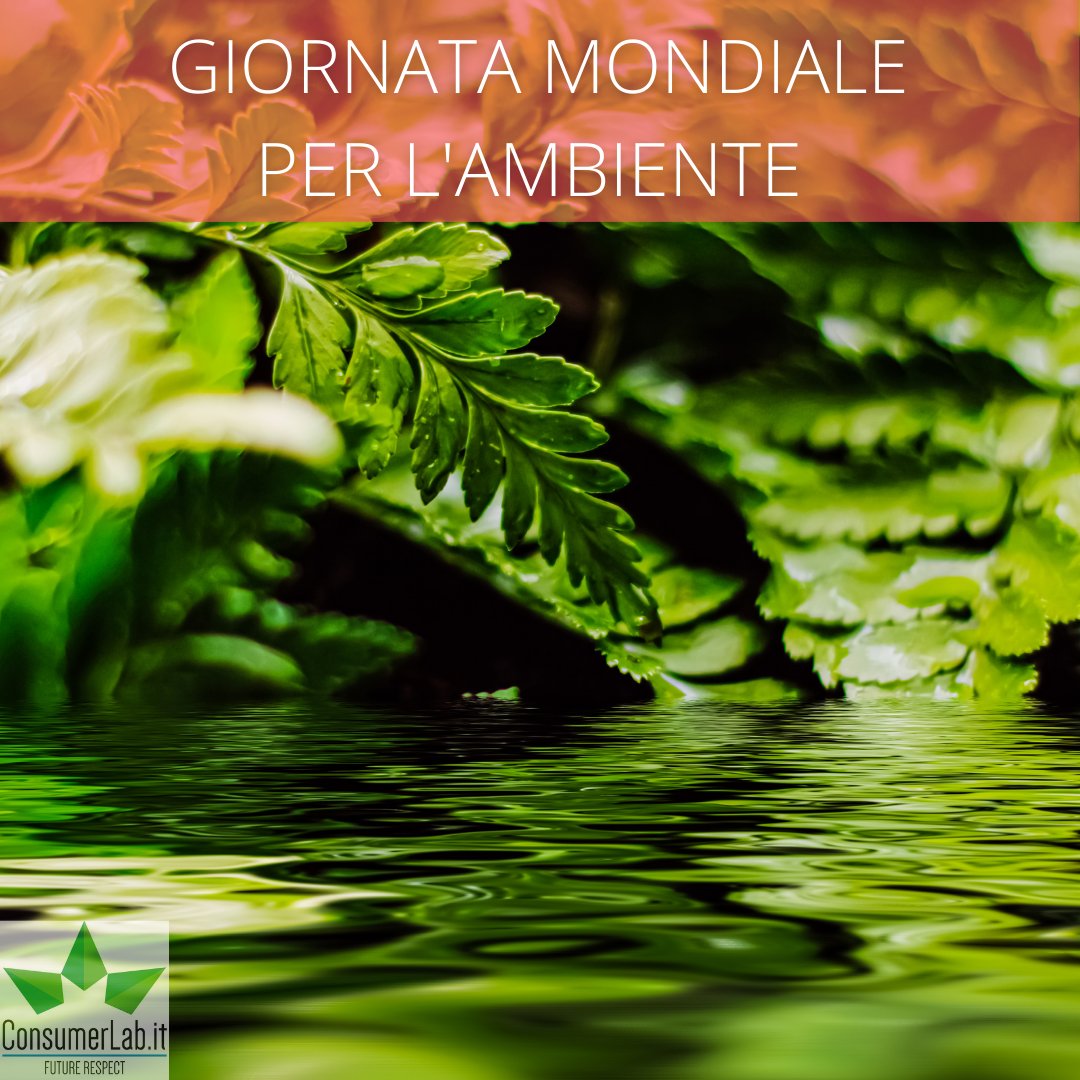 Oggi si celebra LA GIORNATA MONDIALE PER L'AMBIENTE. La Giornata viene celebrata con lo scopo di aumentare la consapevolezza dell'impatto che l'uomo ha sull'ambiente, con particolare attenzione alla salvaguardia della Natura e di tutte le specie animali e vegetali che la popolano