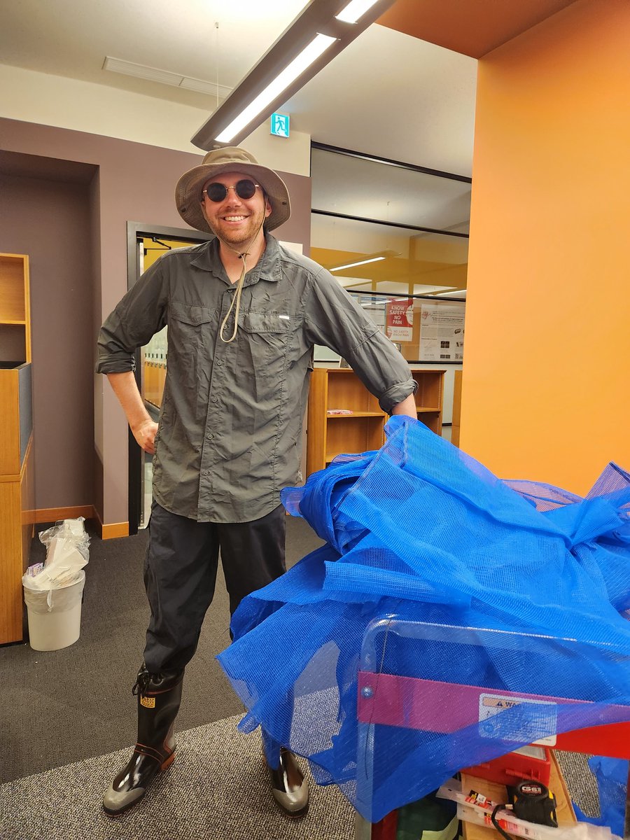 SamRPJRoss's tweet image. Somehow I&apos;ve convinced myself I&apos;m ready for another #mesocosm experiment. I&apos;ll post intermittent updates on our floating plant 🌱response diversity experiment, funded by @BritishEcolSoc @jsps_sns. Watch this space!