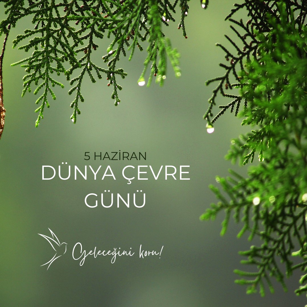 Bugün, doğayı ve çevremizi daha iyi anlamak için farkındalık günü olan Dünya Çevre Günü! 🌿🌎

#dünyaçevregünü #çevre #sustainability #sürdürülebilirlik