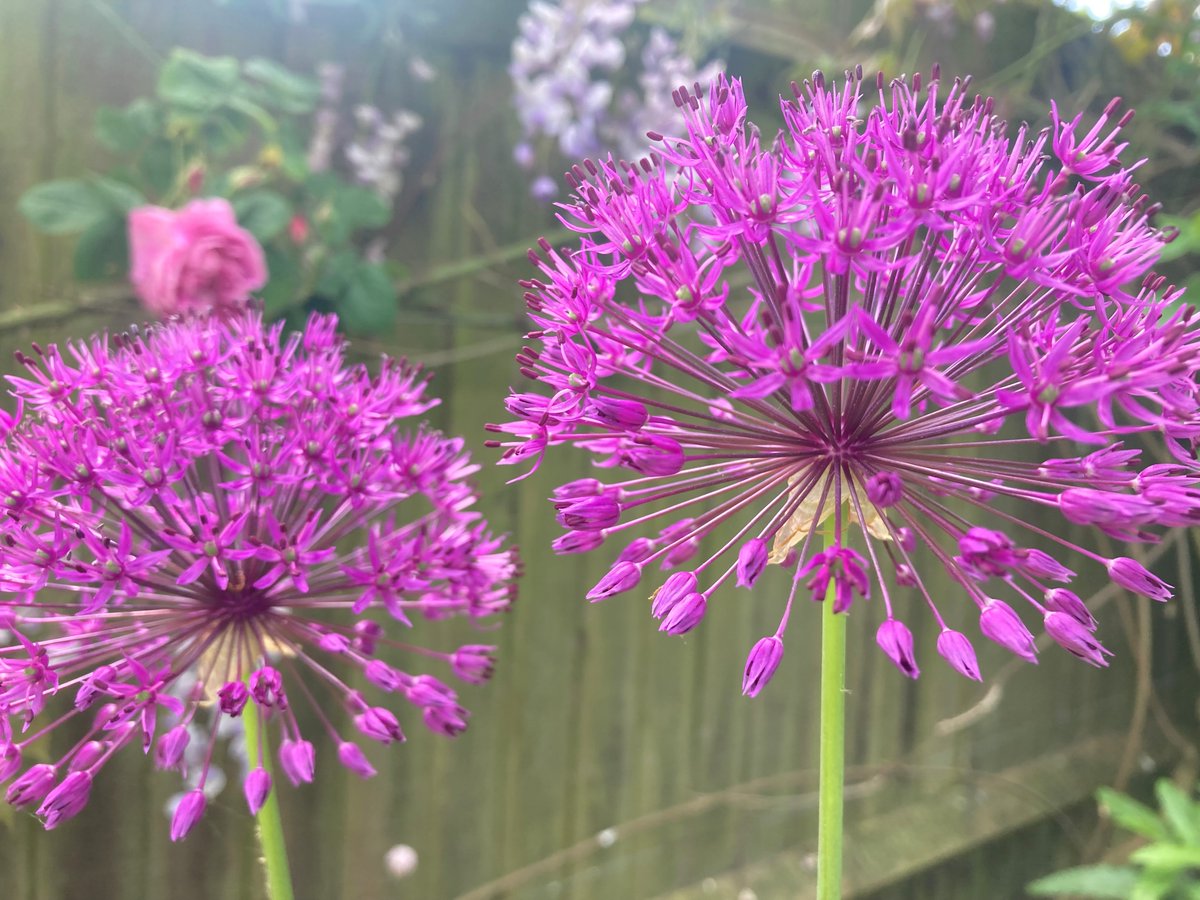 Andy Garland tweet media