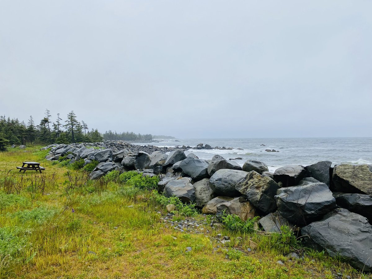 Darly Dash tweet media