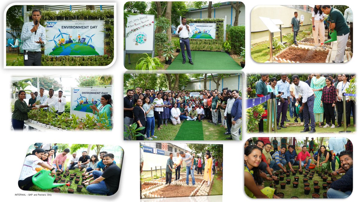 Sudhakar Reddy (@sudhakarreddy94) on Twitter photo Today, on the occasion of #WorldEnvironmentDay we at #SAPLabs celebrated many Green initiatives like Grow your vegetable garden, seed plantation, saplings distribution to employees #greenery. Thanks to <a href="/gangadharansind/">Sindhu Gangadharan</a> <a href="/anzieee/">Mohammed Anzy S</a> <a href="/ravivajram68/">Ravi Vajram</a> & GRF team for wonderful contribution. Today, on the occasion of #WorldEnvironmentDay we at #SAPLabs celebrated many Green initiatives like Grow your vegetable garden, seed plantation, saplings distribution to employees #greenery. Thanks to <a href="/gangadharansind/">Sindhu Gangadharan</a> <a href="/anzieee/">Mohammed Anzy S</a> <a href="/ravivajram68/">Ravi Vajram</a> & GRF team for wonderful contribution.