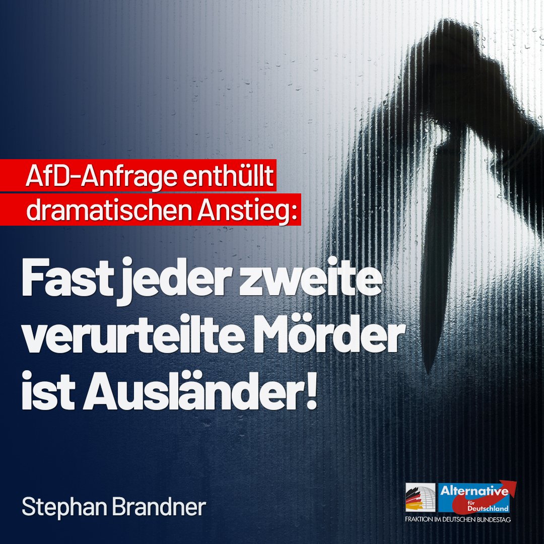 AfDimBundestag's tweet photo. 2021 waren 44,35 Prozent der wegen Mordes Verurteilten Ausländer. „Dieser Trend muss dringend gestoppt werden: Kriminelle Ausländer haben in Deutschland nichts zu suchen“, erklärt @StBrandner. #Migration 
https://t.co/kpeBr9P8A5