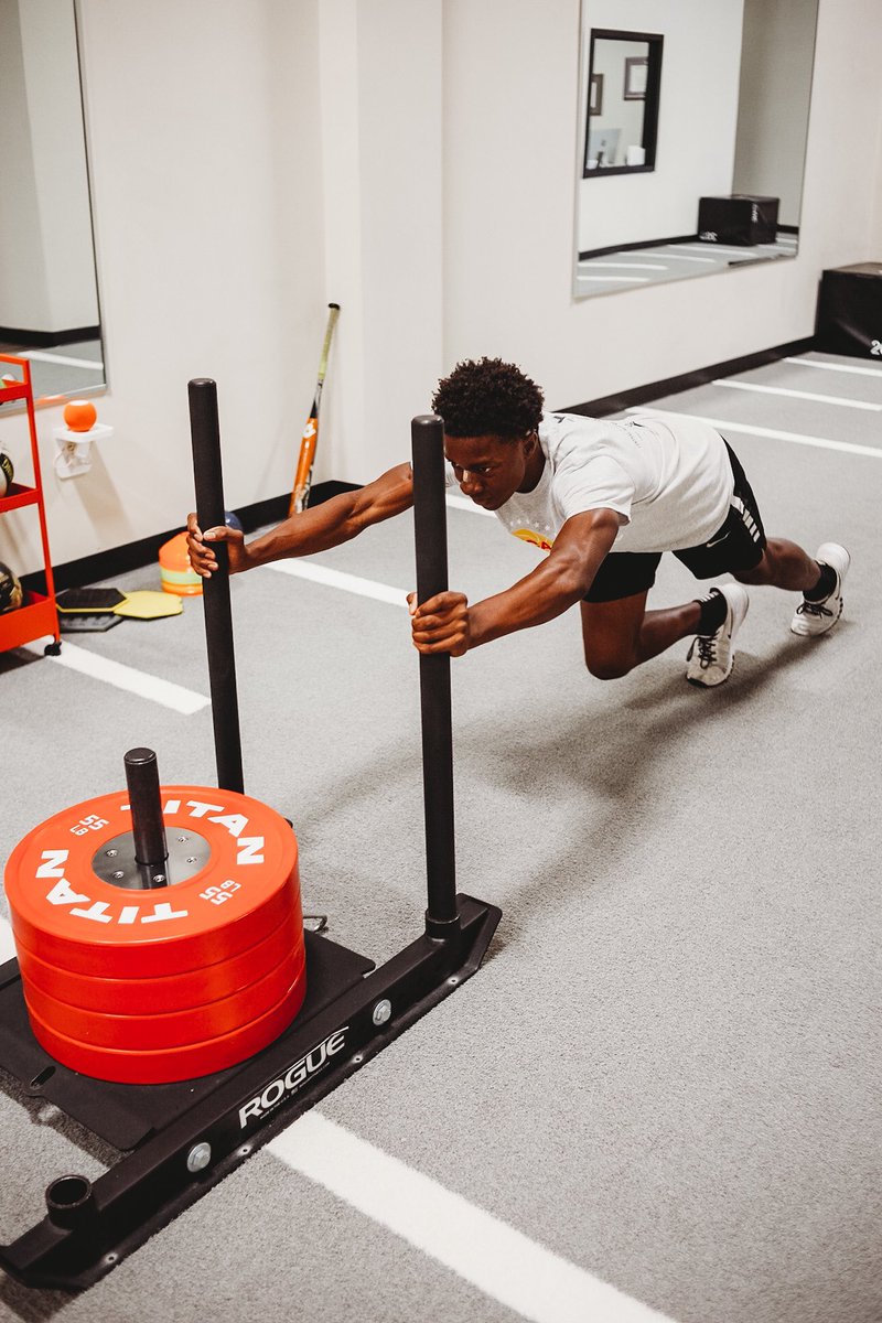 Premier Performance and PT tweet media