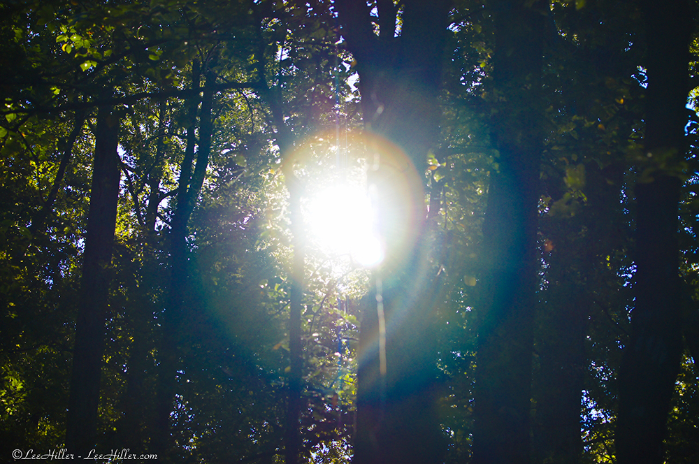 HikeOurPlanet's tweet image. Each morning my Soul returns from Dreams to be reborn into the new day. ~ @LeeHillerLondon #quotesdaily 

#morningmusing #sunrise #sunhalo #halo #HikeOurPlanet #FindYourPath #hike #trails #outdoors #publiclands #hiking #trailslife #nature #photography #naturelovers #adventure