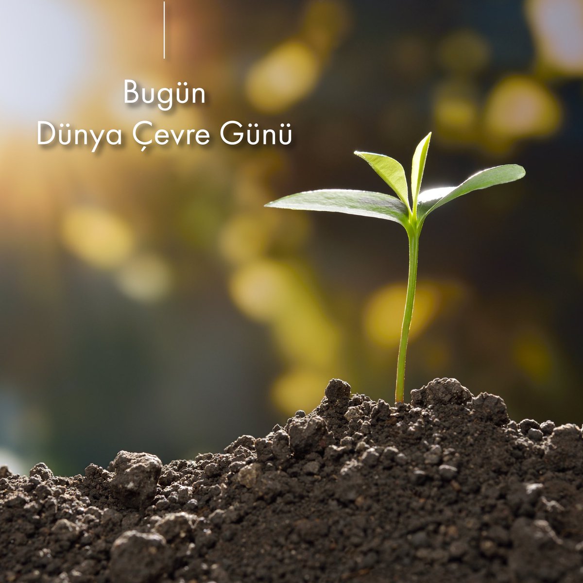 Demir Export A.Ş tweet media