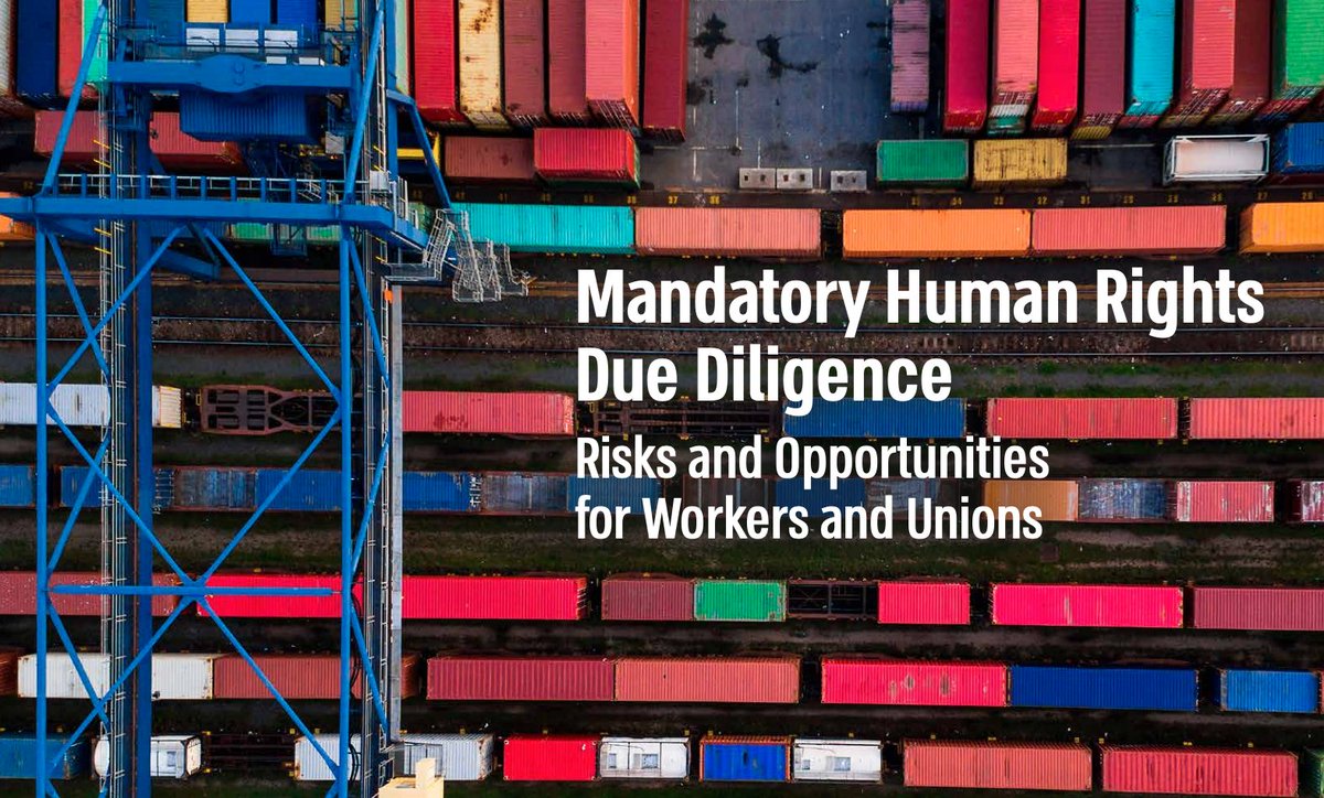 Important work from @shelley_marshal @equiception et al.:
Their report expresses concerns over the current trajectory of #mHRDD legislation and its capacity to effect meaningful change for workers -
trafflab.org/_files/ugd/11e…
#BizHumanRights