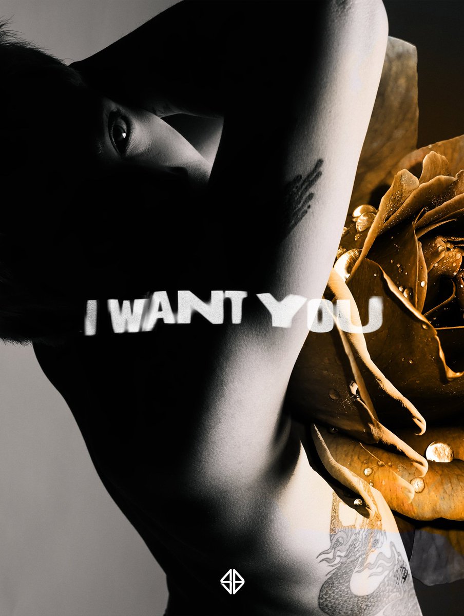 FELIP ARCHIVE 🌙 tweet media