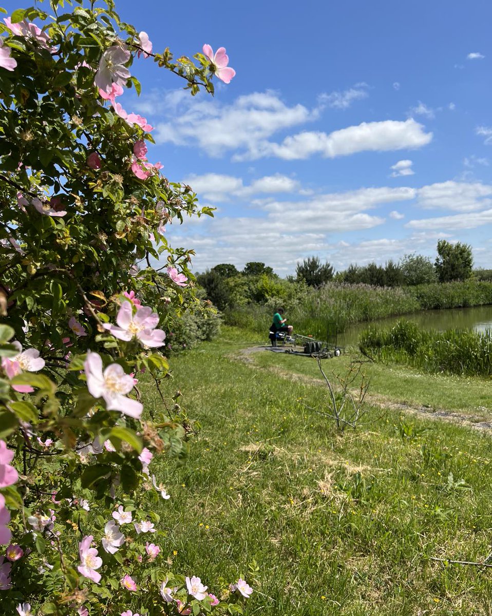 Partridge Lakes Fishery tweet media