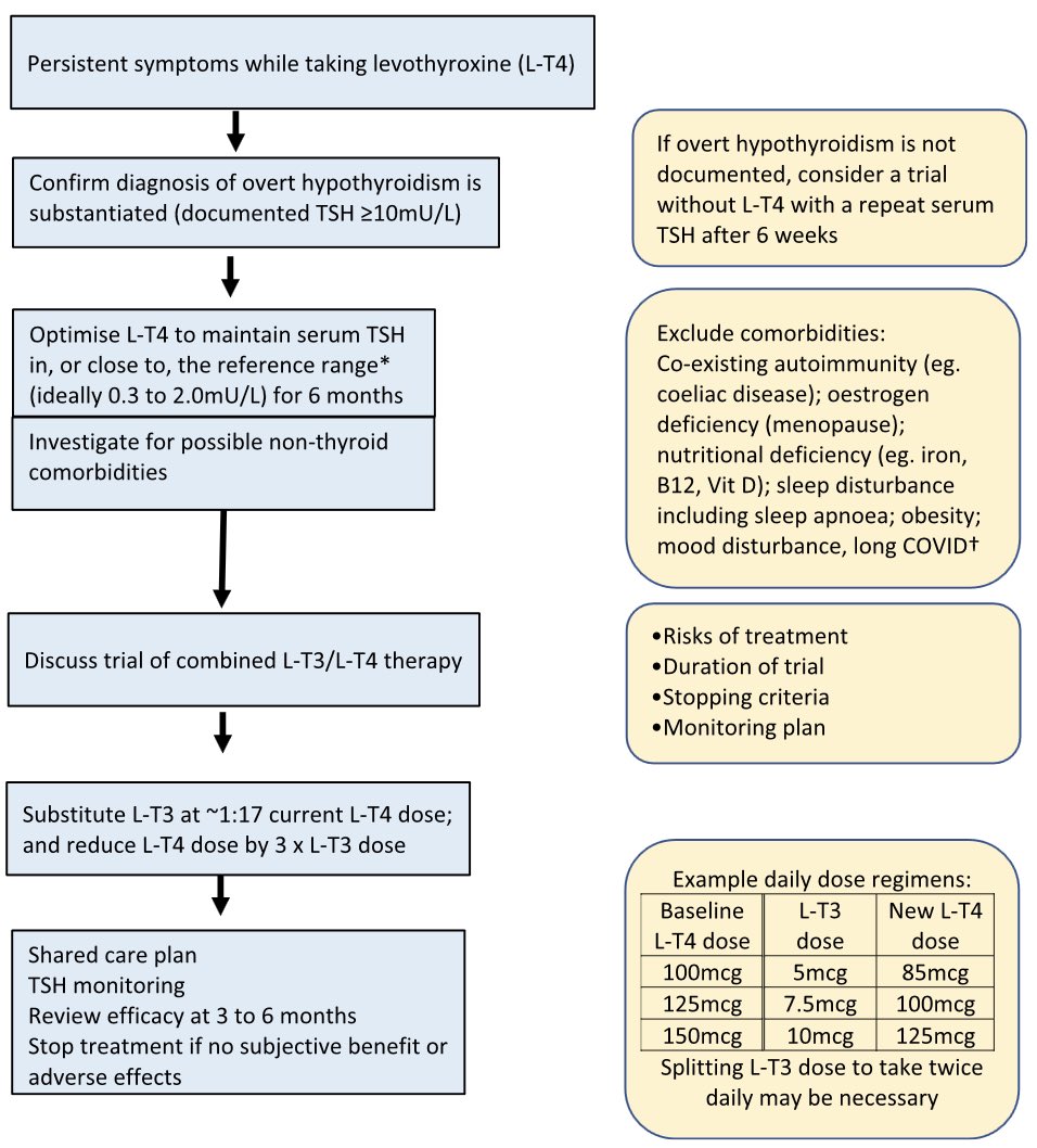 BritishThyroidAssociation tweet media