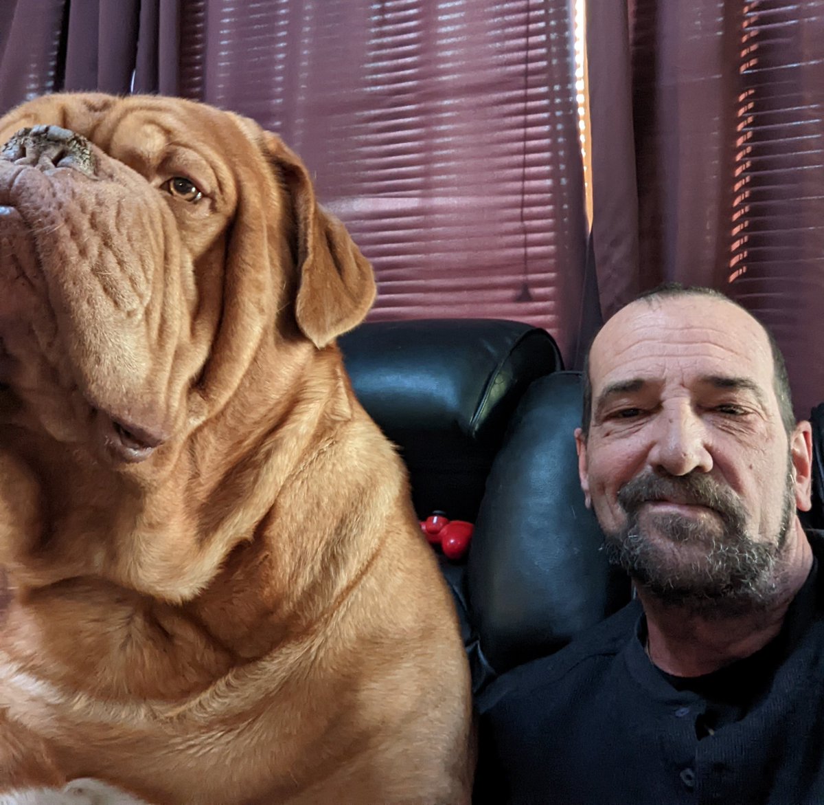 Stephanie Trinidad on Twitter "RT mafia_mastiff Good morning friends