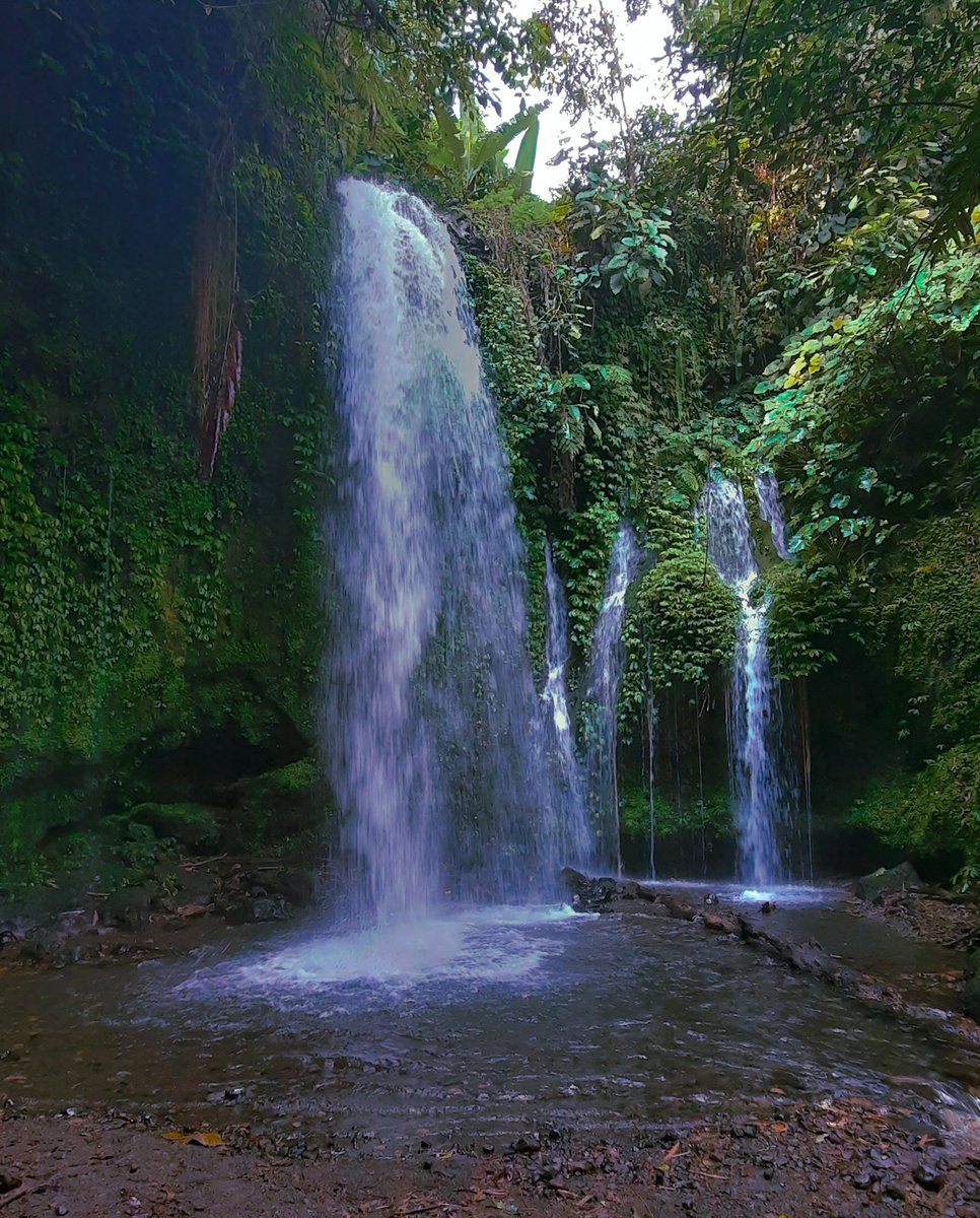 Yuditarigan (@yuditarigan_) on Twitter photo 