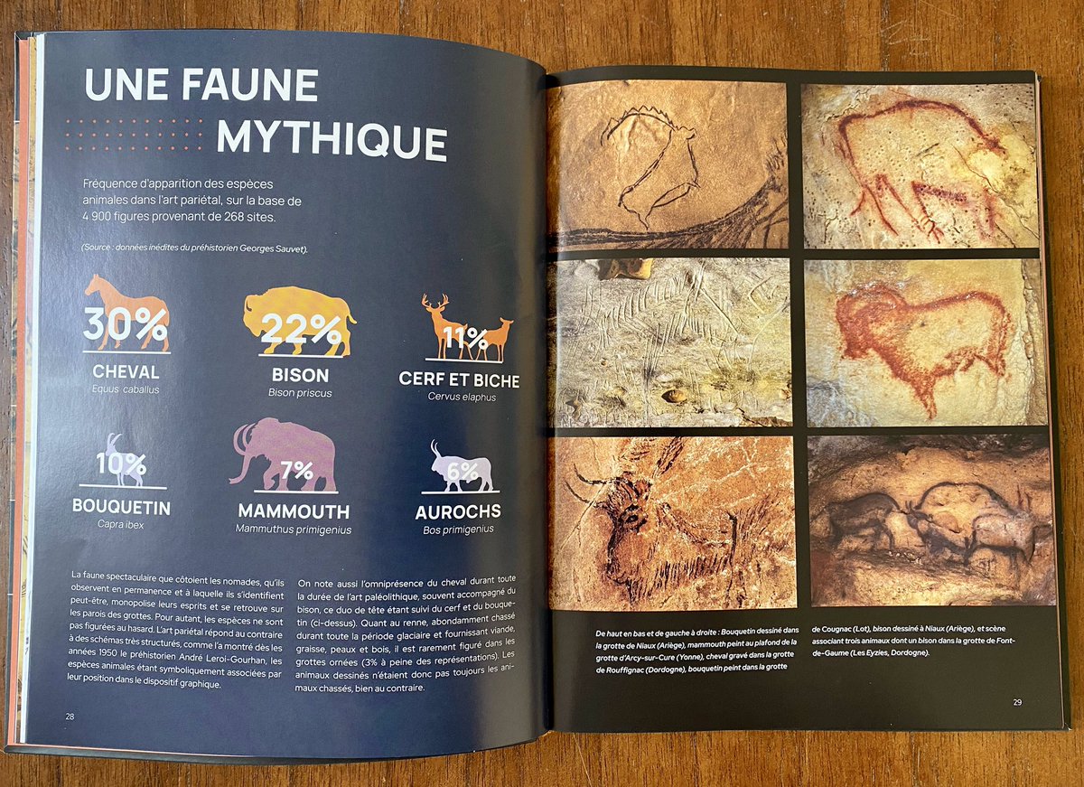 Pedro Lima tweet media