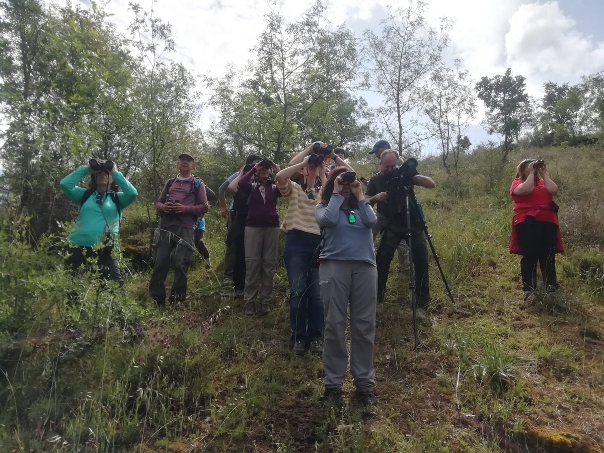 Preciosa actividad organizada por el grupo local Sierra Norte de SEO-Birdlife #seo_sierranortedemadrid 
Aprendimos a usar los prismáticos, nociones básicas de observación, las mejores guías para principiantes...