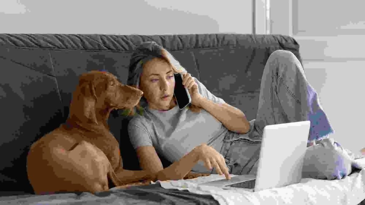 educachorros's tweet photo. ¿Qué estilo de vida tienes y qué estilo de vida quieres con tu perro?
#perros #lifestyle
https://t.co/OOOmPMDtkZ https://t.co/EBdC9OFSce