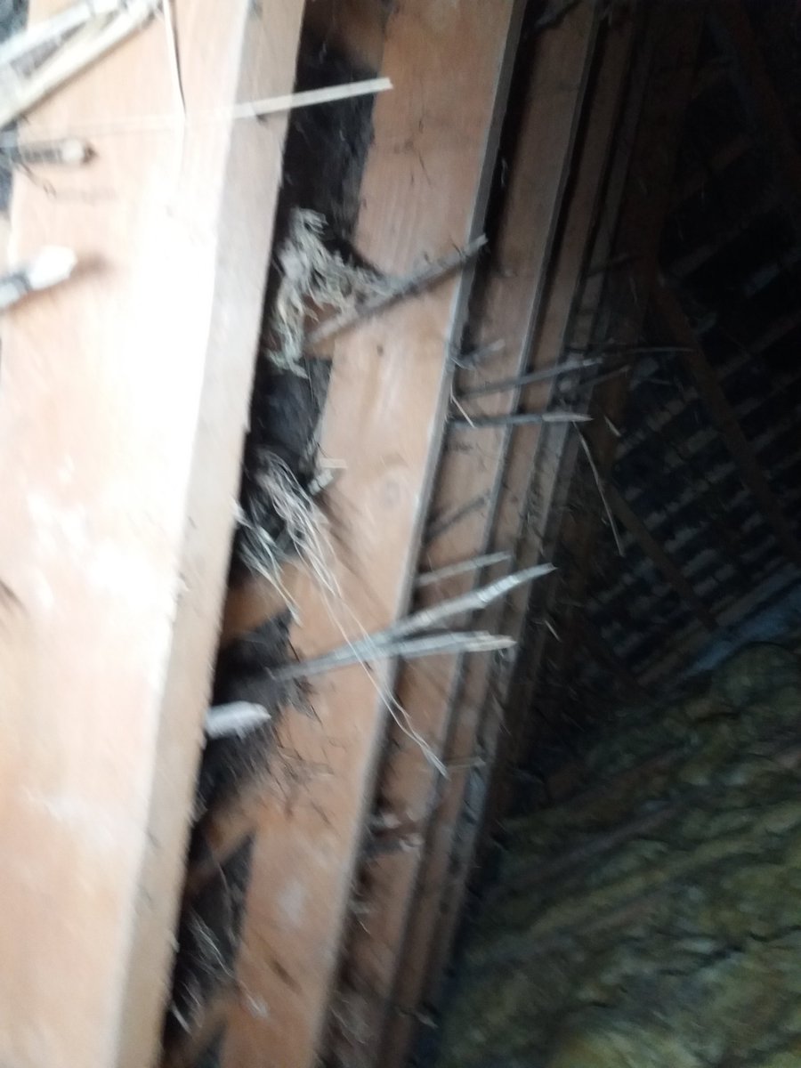 thatchertaggart's tweet image. @CommunitiesNI #HEDNI Listed #IrishCottage Original #Scraw roof structure ripped off &amp;amp; this modern structure put on with a DIY attempt to replicate a true Scraw #Thatched roof. DIY because the Old People's method did NOT use #Scallops to hold the 1st layer of #Thatch on #Bollocks