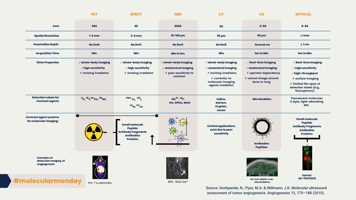 Tracercro's tweet image. Searching for the optimal imaging modality to visualize your drug? 🎯
Picking the right #imagingtechnology is crucial for the success of your compound and trial. Once you nail it, you can visualize drug targets and track drug kinetics, offering vital insights.
#drugdevelopment