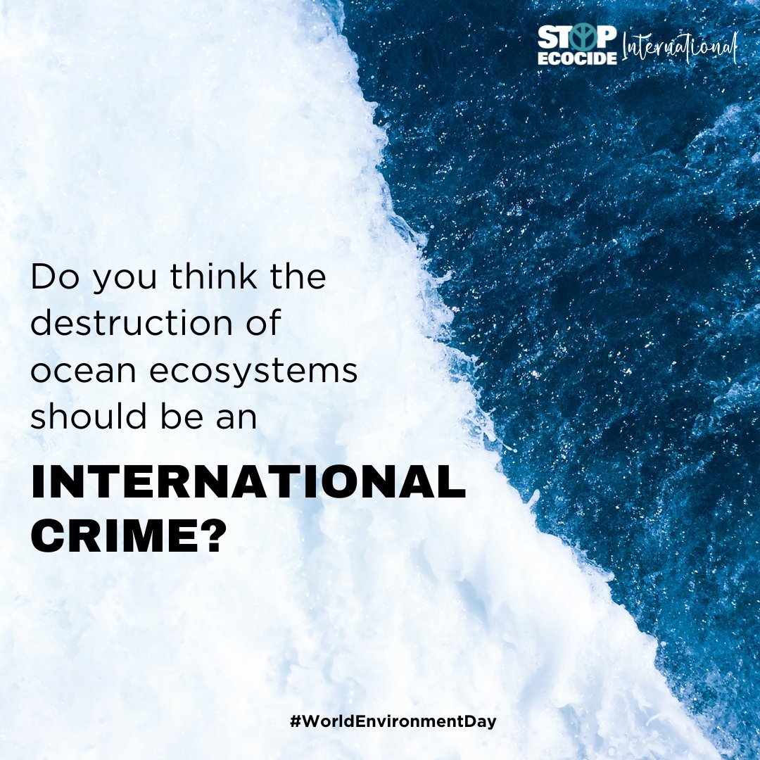 🌊This #WorldEnvironmentDay, let's do more than share good wishes. Let's take collaborative action towards protecting our ocean's future. Commit to joining ocean legend @SylviaEarle for the Ocean for #EcocideLaw network launch this Wed! stopecocide.earth/events/protect… #StopEcocide
