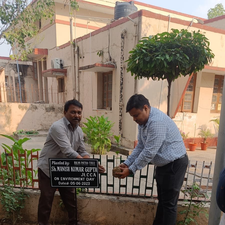 Today, on the occasion of #WorldEnvironmentDay, Some Saplings were planted in the O/o CCA Haryana with the pledge taken by all the staff #lifestyleforenvironment(LifE #DoPT) as administered by CCA to keep the planet safe by re-using, reducing & recycling♻️#BeatPlasticPollution