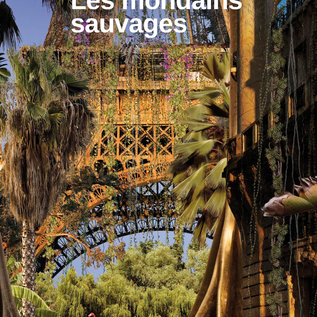 Editions Karthala on Twitter "📢 Nouvel épisode de Karthala