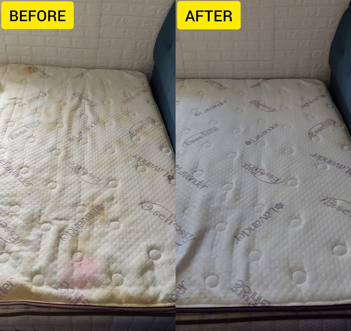 Ada sesiapa berminat nak cuci tilam? Boleh hubungi kami di link ye👇
wa.me/601110032539?t…