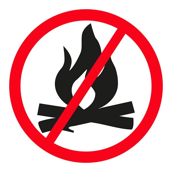 Casey Cuddy tweet media