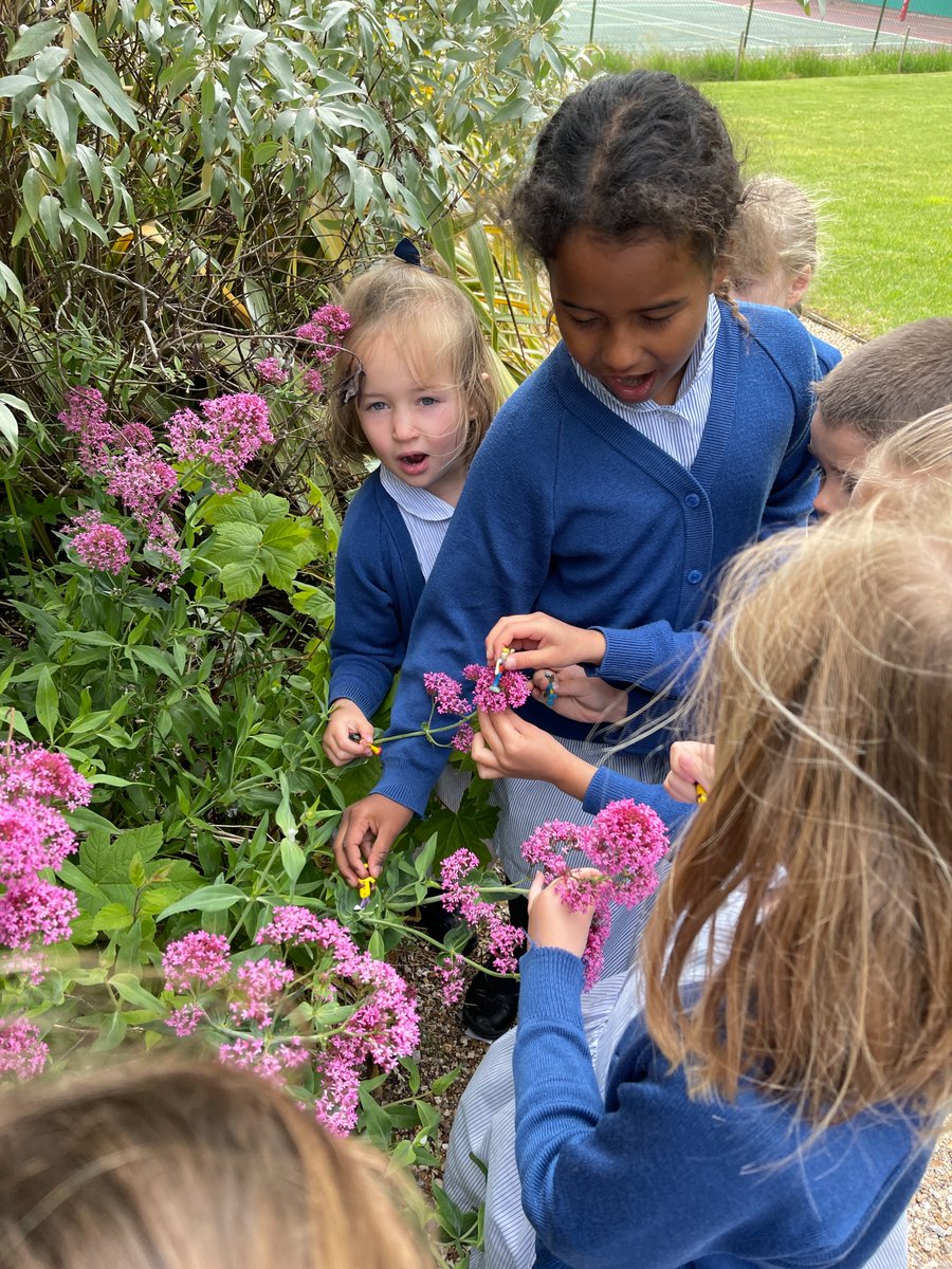 Chafyn Grove School tweet media