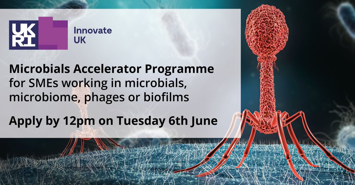 Are you an #SMEworking in #Microbials, #Microbiome, #Phage and #Biofilms? Apply now for the new @innovateuk funded Microbials Accelerator Programme. Scale up your business - #commercialisation of #innovative #microbial #technologies. Deadline 6 June, 2023. bit.ly/3Vrls2s