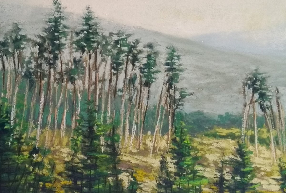 A bit of the Scottish Highlands as seen from a bus window on the way up to Glencoe.  To me, the most beautiful place in the world. 
Original soft pastel painting - Scottish Highland View With Trees etsy.me/45O3CLK via @Etsy 
#Highlands #Scotland #SoftPastel #painting