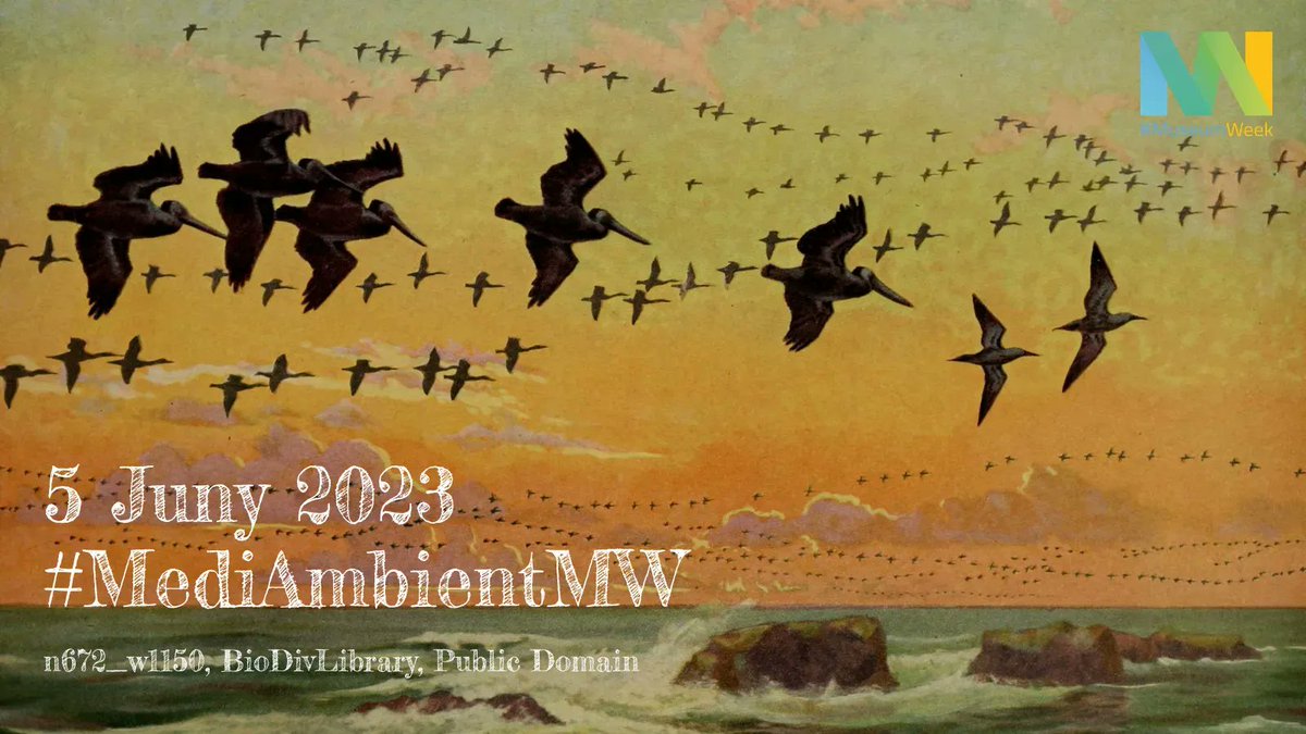 MuseumWeek's tweet photo. Avui comença la #MuseumWeek 2023!
Parlarem d'un tema tant important com el #MediAmbient. Comparteix les teves accions, col.leccions o pensaments amb la etiqueta #MediAmbientMW
Uneix-te a la conversa de la #MuseumWeek a les #XarxesSocials!
#museus #MuseumWeek2023 #MuseumWeekCat https://t.co/i4rlyW80wd
