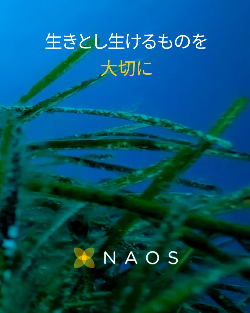 esthederm_japan's tweet image. 水はすべての生物にとって基本的な資源であり、私たちが提供する製品のベースでもあります。
そのため、海水、淡水の生態系への配慮を重要視しています。
#NAOS では、環境に触れる可能性のあるすべての製品（「洗い流す」衛生用品とサンケア製品）について、環境への影響について分析しています。