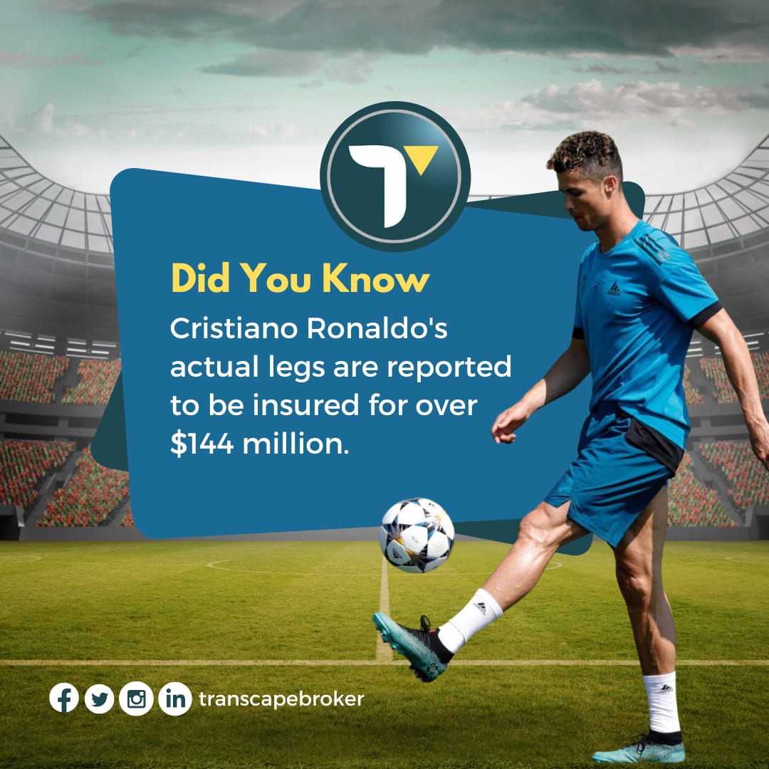 transcapebroker's tweet image. A little slice of insurance trivia on this beautiful Monday ☀️ #Justforthekicks⚽

#mondaytrivia #insurancetrivia #transcapebrokers #insurancepolicy #insuranceagent #insurancequote #insurancelife #insuranceclaim #insurancecoverage #insuranceexpert #insurancebusiness