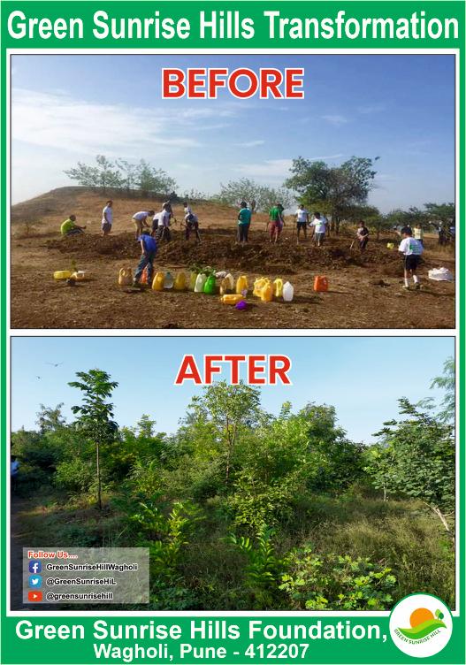 GreenSunriseHiL's tweet photo. #HappyWorldEnvironmentDay 
#EachOnePlantOne
#UrbanForest
#GreenerToday #GreenerTomorrow
@WagholiHSA @PuneForest @MahaForest 
@SakalMediaNews
@pulse_pune @WagholiTimes 
@IfsPatil 
@PMCPune https://t.co/vNRUEz8wCq