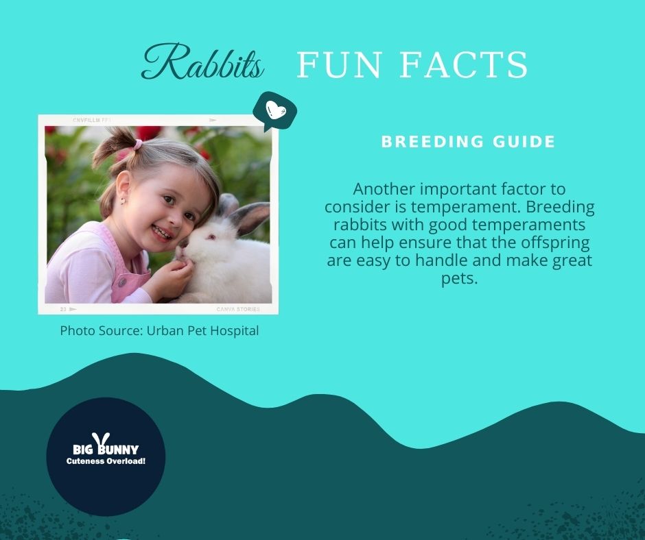 bigbunny2023's tweet image. Rabbits Fun Facts
Breeding Guide
Another important factor to consider is temperament. Breeding rabbits with good temperaments can help ensure that the offspring are easy to handle and make great pets.
#RabbitBreeding
#RabbitBreeders
#Rabbitry
#RabbitHusbandry
#RabbitGenetics