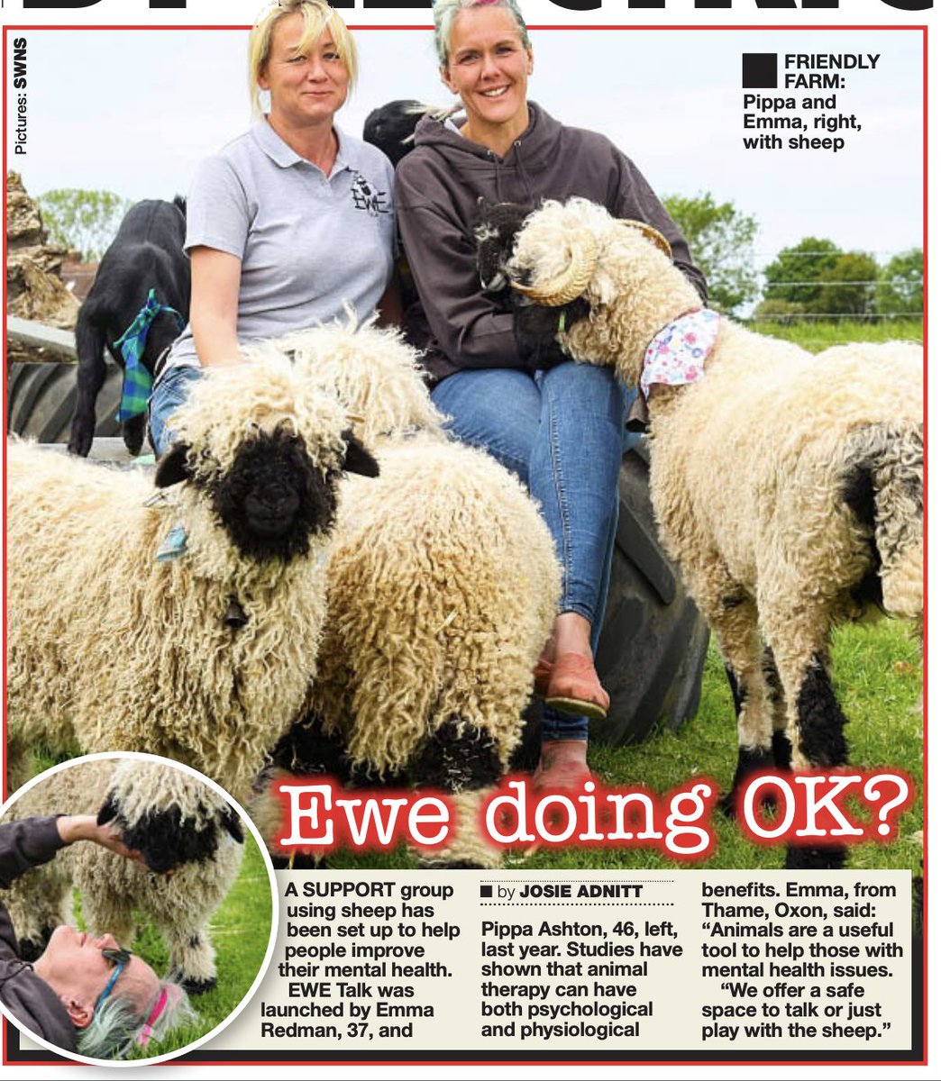 SWNSRealLife's tweet photo. EXCLUSIVE in @DailyStarSunday - Support group using SHEEP to help people improve their mental health 🐑 
🖋️ @journo_jos 
📷 @TomWrenPhoto https://t.co/RPw0IS275L