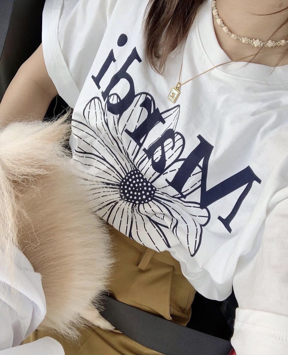 suffsun's tweet photo. แจกเสื้อยืด mardi แบรนด์เฟมัสของเกาหลี 1 ตัวเป็นของขวัญ follower ทางร้าน Rt + เลือกสีได้เลยย ᐧ༚̮ᐧ ✿ ˒˒ https://t.co/obR0ULVZW4
