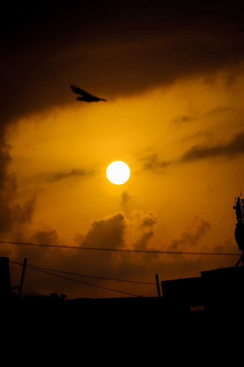 Today's Sunrise
..
Shot with @Canon_India 
..
#Capturedoncanon #sunrise #morning #silvassa