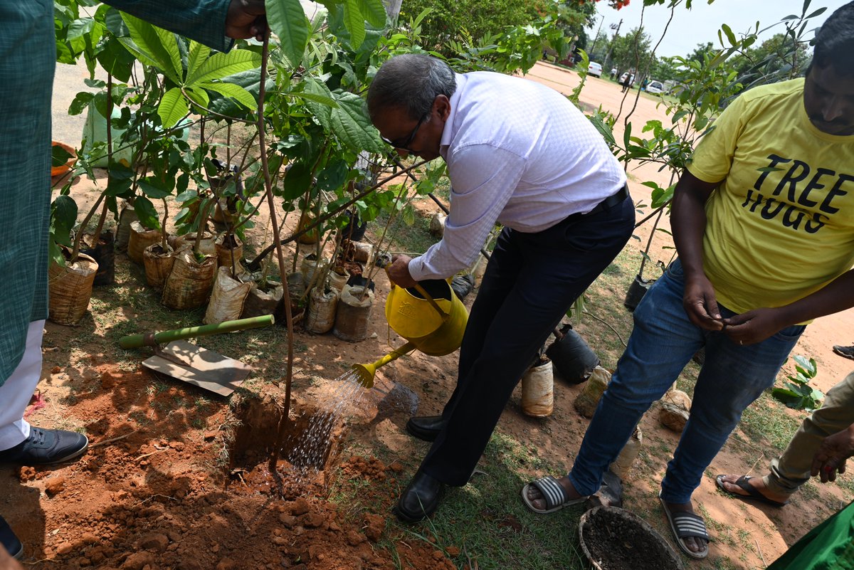 Aihmct1's tweet photo. Tree Plantation at AWES campus on the occasion of World Environment Day and Felicitation of Ms Janet from #treesforfree for providing 120 fruit and shadow trees on this occasion.
 #WorldEnvironmentDay_2023  #treeplantingdrive  #AWES @nssibia https://t.co/9bTIPR3BfV