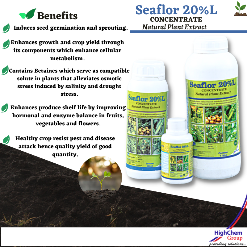HighChemGroup's tweet photo. SEAFLOR 20% L is a natural plant extract concentrate rich in nutrients and hormones (Cytokinin, Gibberellins, Auxins, Betaines) that promote healthy plant growth for improved quality yield.
Available in agrovets|0709 606 000| sales@highchem.ke| #ProvidingSolutions #farming https://t.co/1364N0zgu1