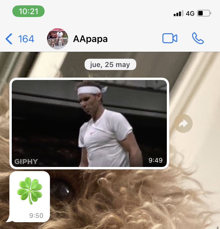 susisevm1's tweet photo. Su forma de desear  suerte en los exámenes es adjuntando gif de Rafa Nadal https://t.co/whmmMyeyT3